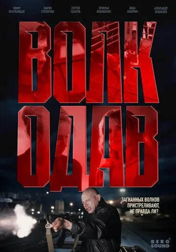 Волкодав смотреть бесплатно 1 сезон, 1-8 серия смотреть онлайн лордфильм
